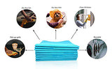 Extra Large Blue Shammy Cloth
