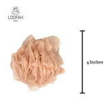 Loofah Lord House Warming Gift Pack - Pink